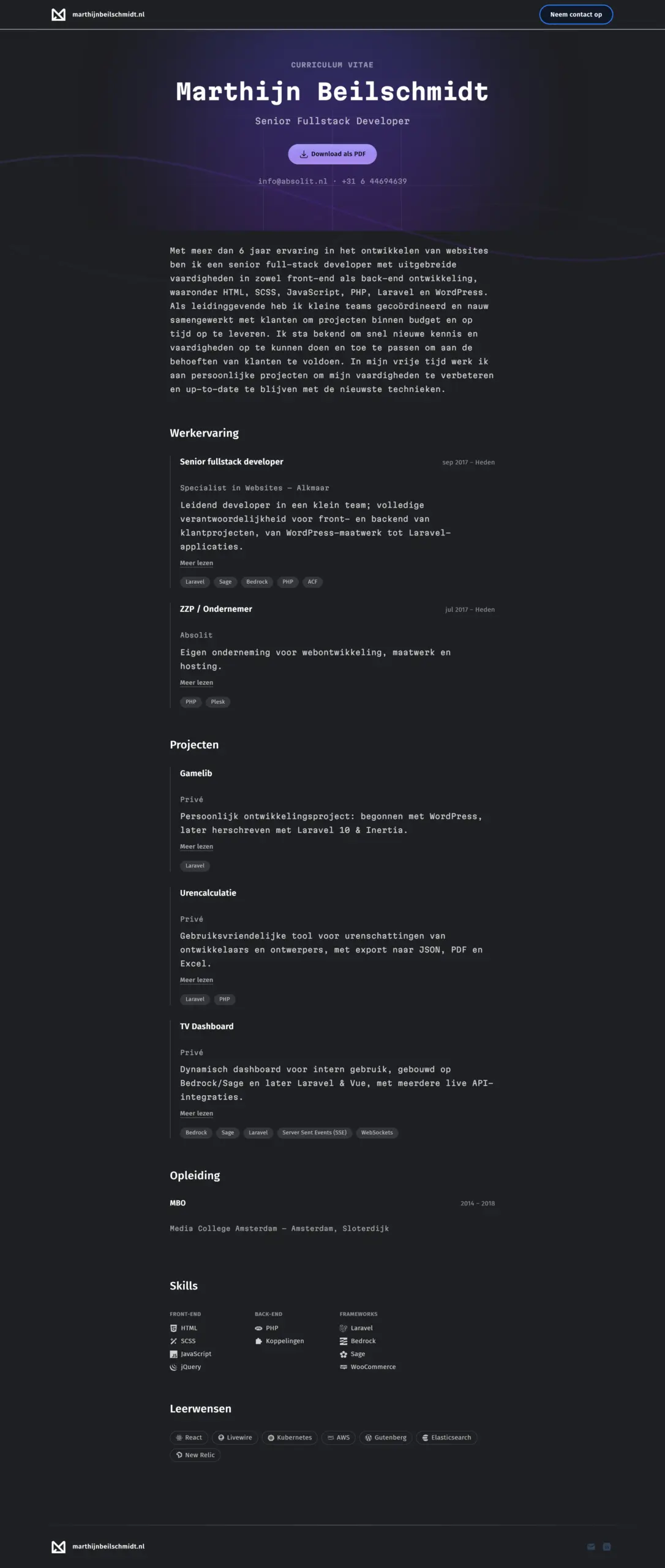 Het cv zoals het portfolio het genereert, op een breed scherm.